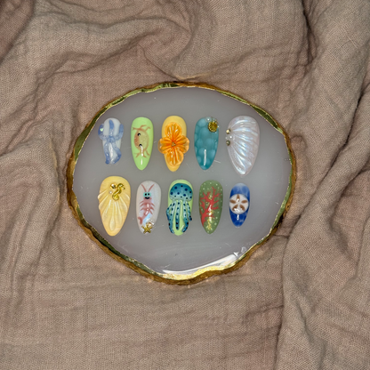 Tidepool Treasures